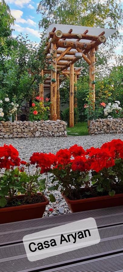 Ferienwohnung Casa Aryan Sînpetru Exterior foto