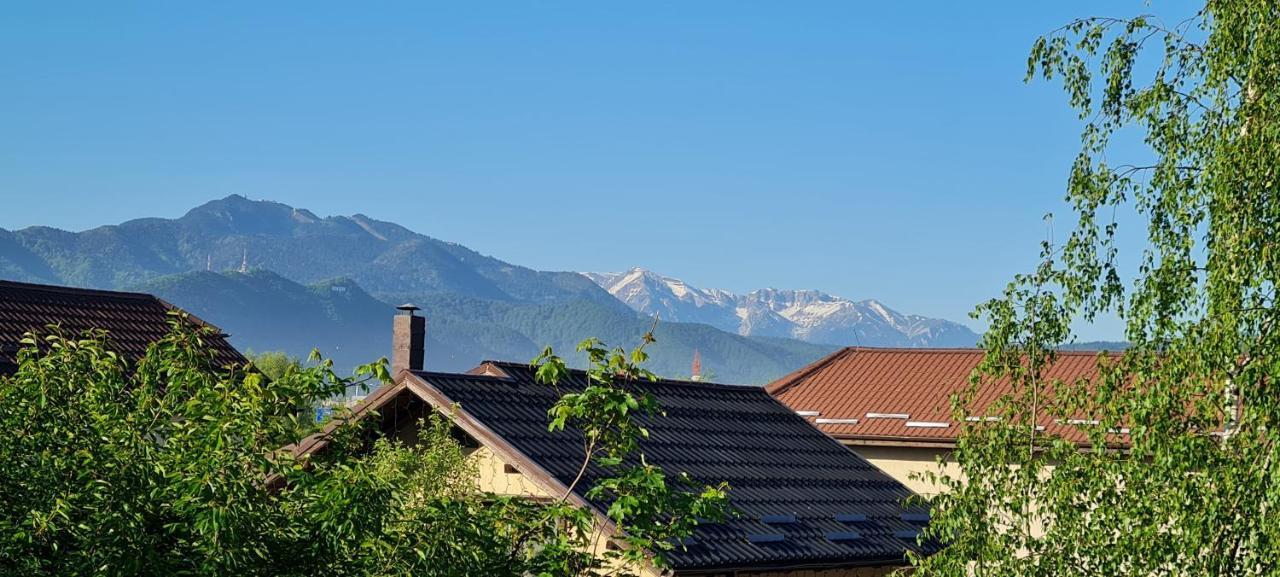 Ferienwohnung Casa Aryan Sînpetru Exterior foto