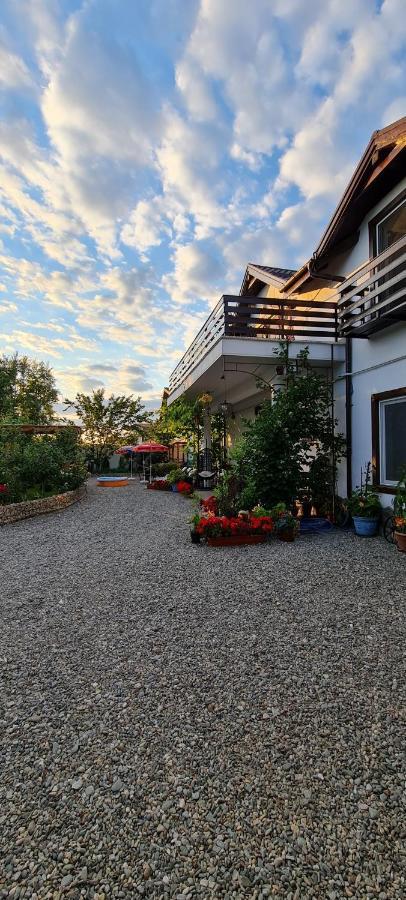 Ferienwohnung Casa Aryan Sînpetru Exterior foto
