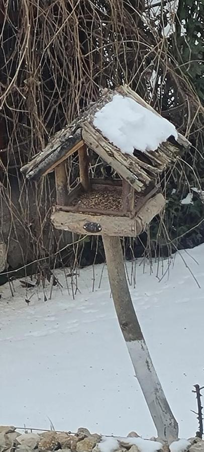 Ferienwohnung Casa Aryan Sînpetru Exterior foto